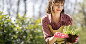 Cultivar en la ciudad: el nanocurso que enseña a tener huertos urbanos