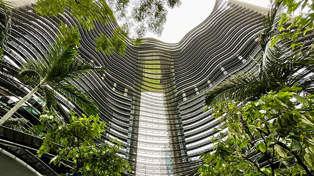 Infraestructura verde urbana como respuesta a los desafíos climáticos de las ciudades