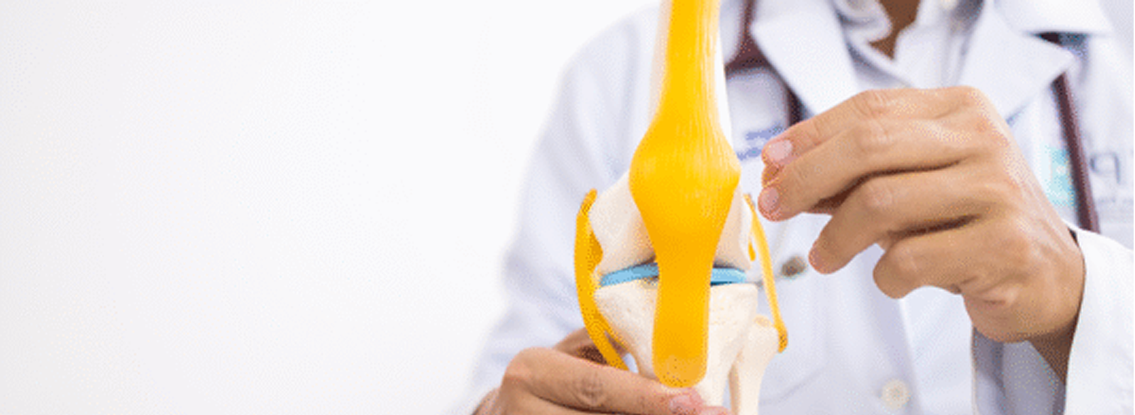 Artrosis de rodilla: enfoque actual del manejo kinesiológico