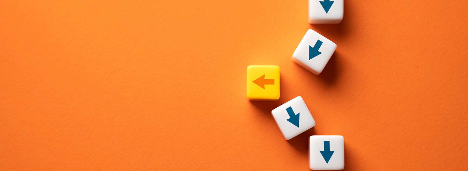 Adaptación y autogestión en el cambio