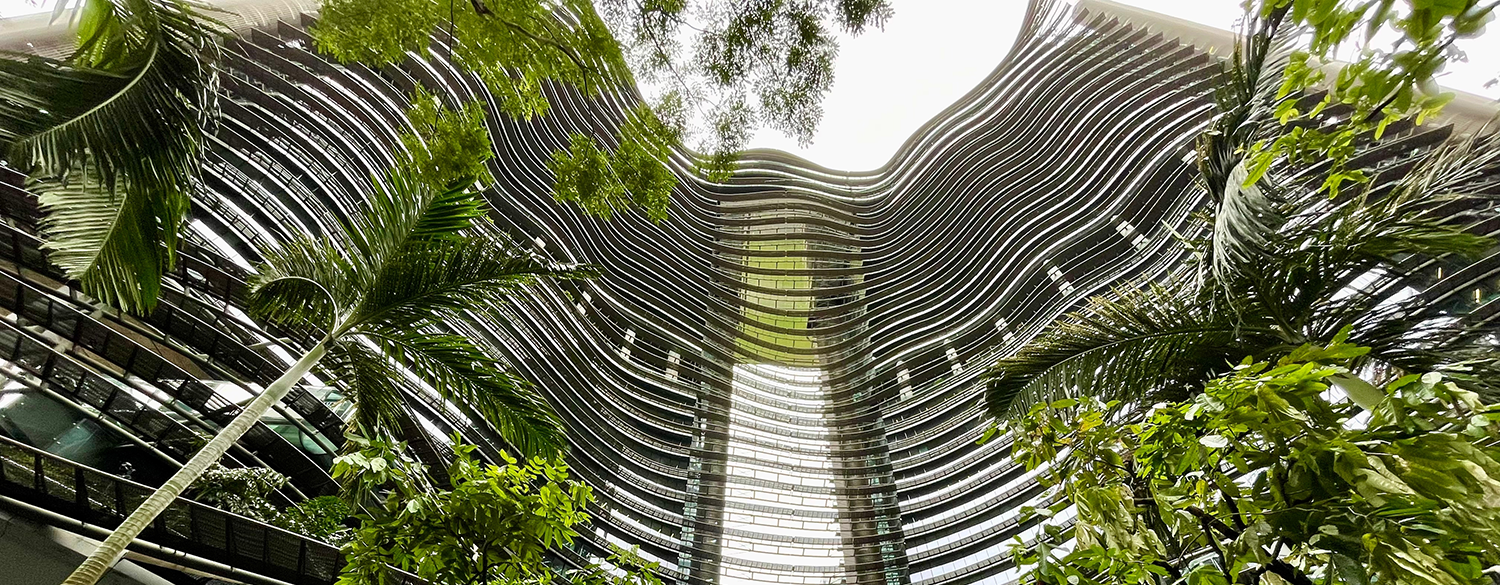 Infraestructura verde urbana y soluciones basadas en naturaleza