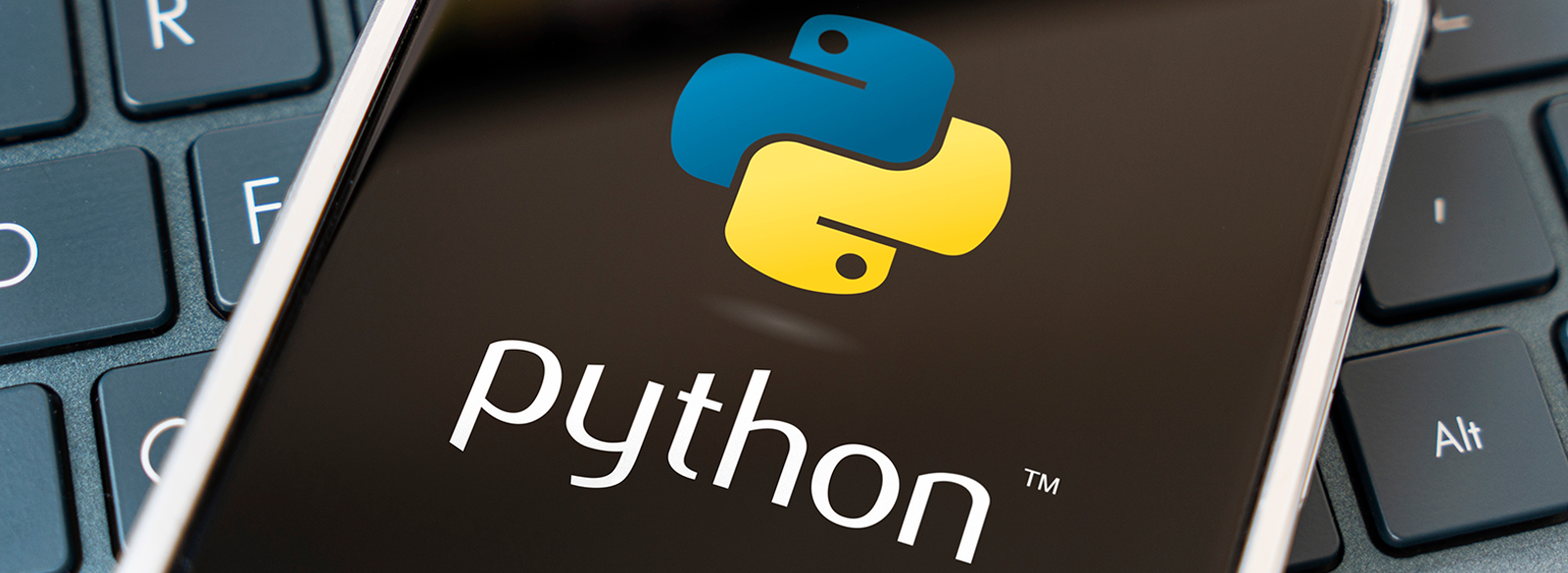 Cow Python Precio Todos – Teleduc
