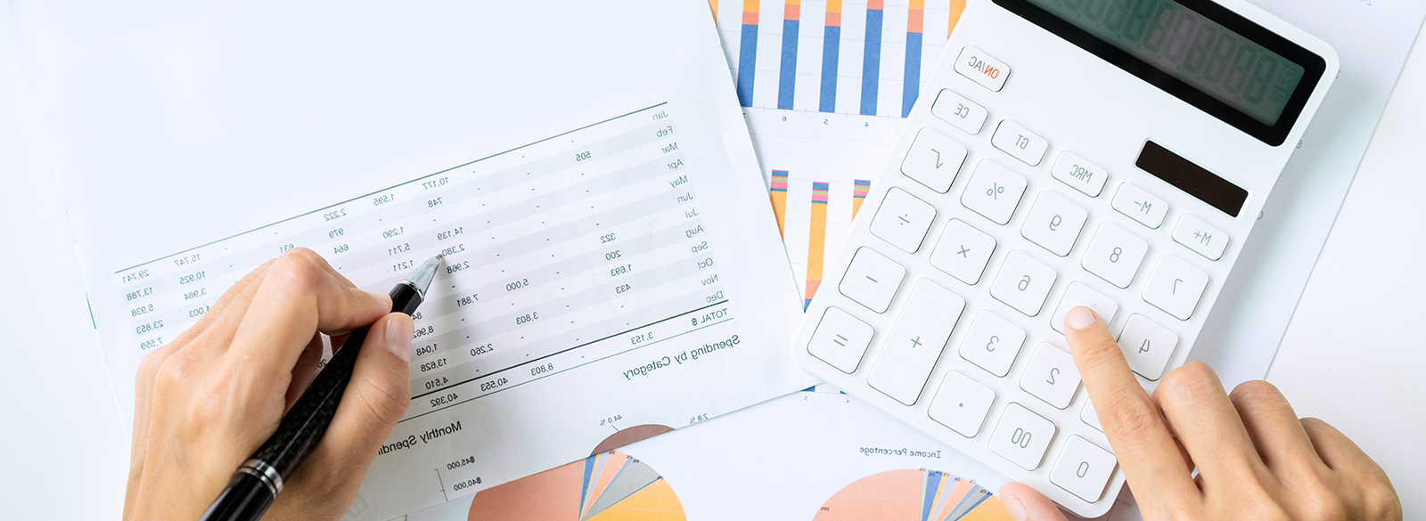 Aprendiendo Flujo de caja, presupuesto y gestión financiera