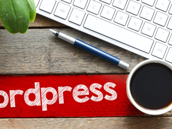 curso WordPress, curso Herramientas-para-el-diseno-desarrollo-y-mantencion-de-sitios-web-con-WordPress