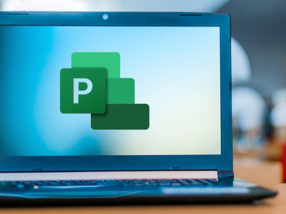 MS-Project-como-herramienta-en-la-planificacion-de-proyectos, curso MS Project, curso Project