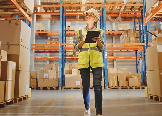 Abastecimiento e inventarios: conceptos básicos