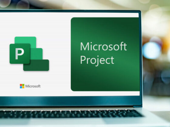 curso MS Project, curso MS Project intermedio, curso Microsoft Project intermedio para la gestión de proyectos