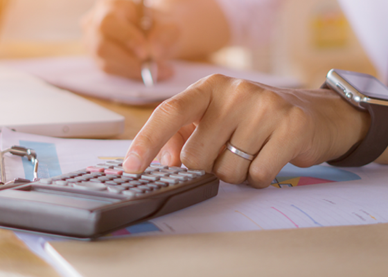 Presupuesto organizacional para una adecuada gestión financiera, nanocurso Presupuesto organizacional para una adecuada gestión financiera, curso presupuesto, curso breve presupuesto