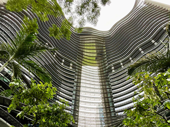 Infraestructura verde urbana y soluciones basadas en naturaleza, soluciones basadas en la naturaleza, curso soluciones basadas en la naturaleza, curso infraestructura verde urbana