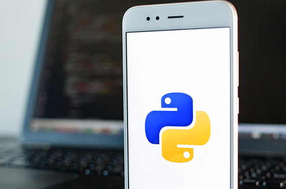 Python para el manejo de datos nivel básico